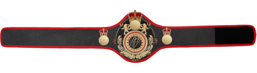 QUEENSBURY PRO LEATHER WRESTLING CHAMPIONSHIP BELT - QUEEN/B/G/WRESTGEM - 10+ COLOURS QUEENSBURY PRO LEATHER WRESTLING CHAMPIONSHIP BELT - QUEEN/B/G/WRESTGEM - 10+ COLOURS